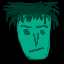 Profil de cyberbug