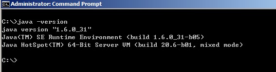 java_version.jpg