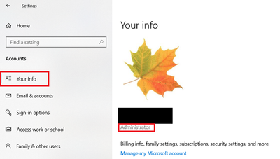 Win 10 v20H2 Settings Account Administrator Rights 12 Jul 2021.png