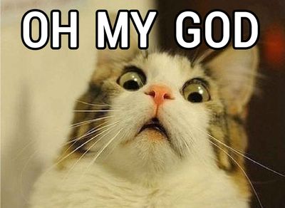 Oh-My-God-Cat.jpg