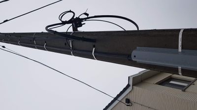 20201212_100455.jpg